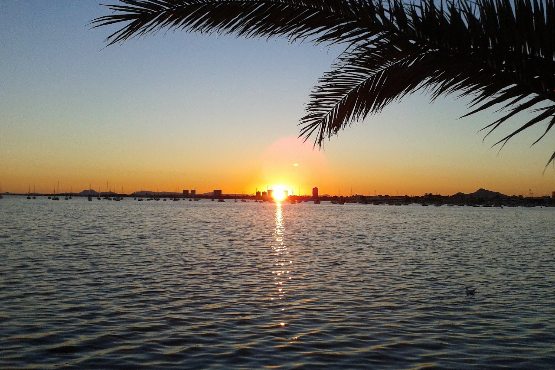 Herverkoop - Villa -
Torre de la Horadada - Costa Blanca