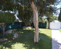 Herverkoop - Villa -
Torrevieja - Costa Blanca