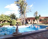 Herverkoop - Villa -
Torrevieja - Costa Blanca