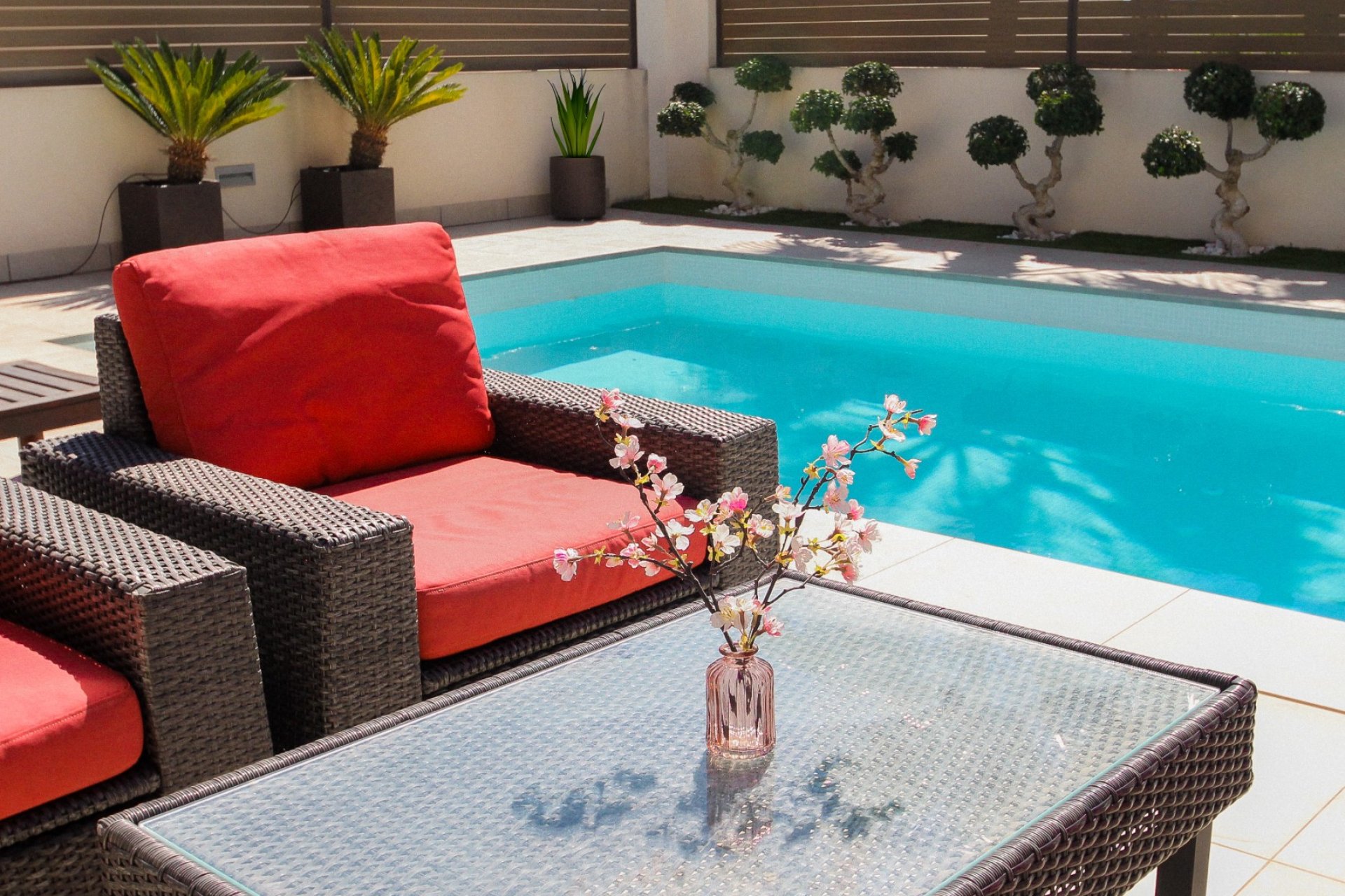 Herverkoop - Villa -
Torrevieja - Costa Blanca