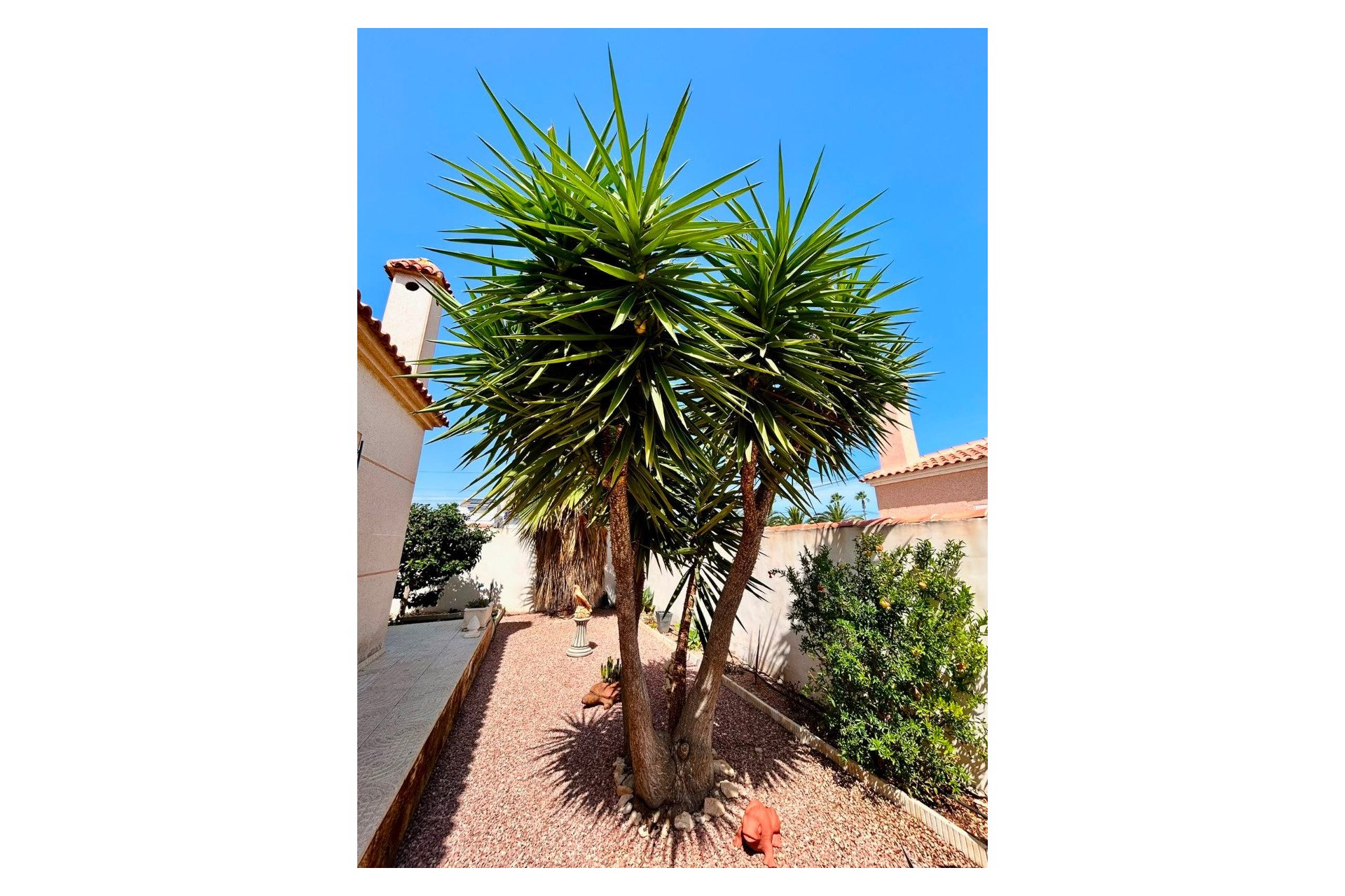 Herverkoop - Villa -
Torrevieja - Costa Blanca