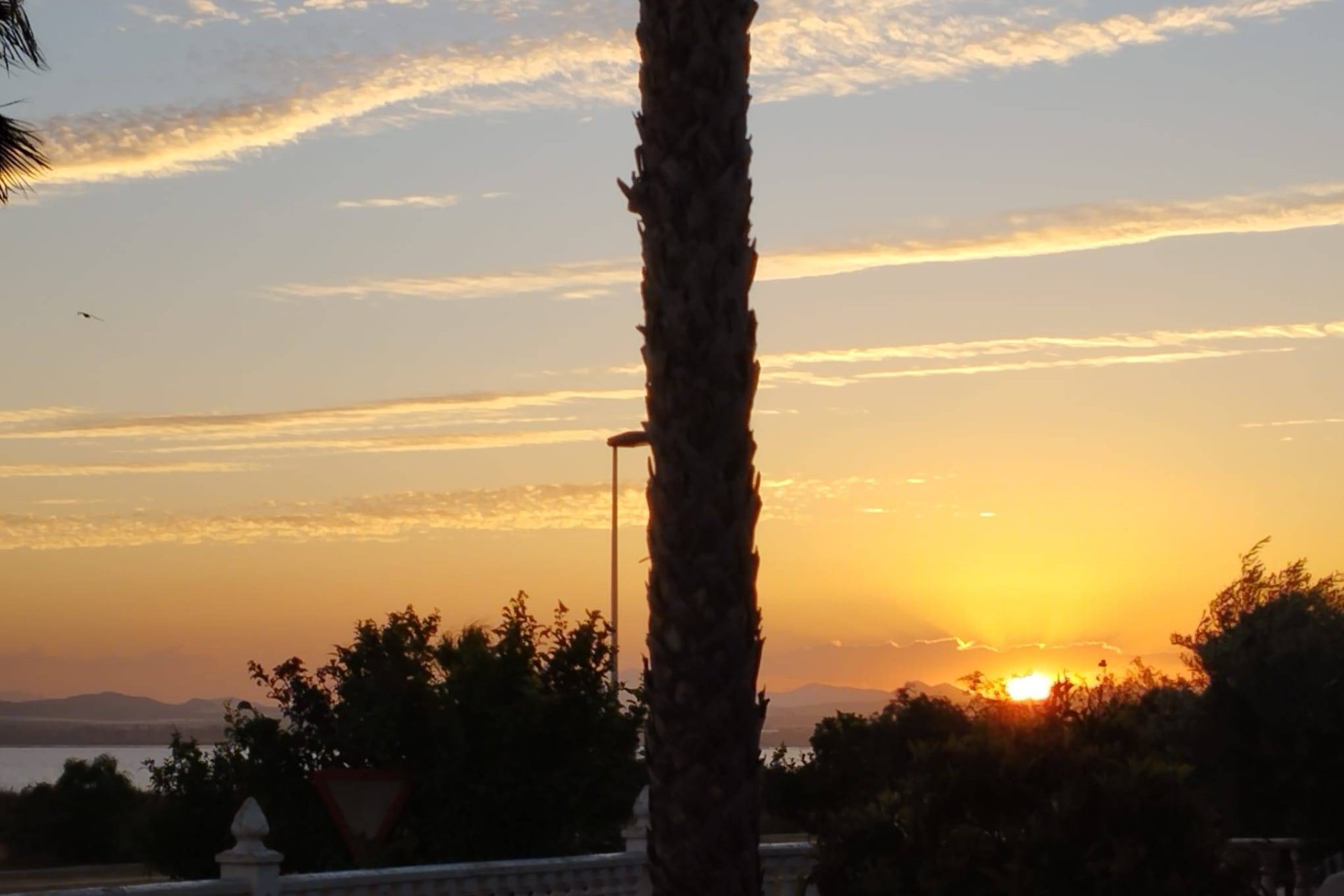 Herverkoop - Villa -
Torrevieja - La Siesta - El Salado - Torreta