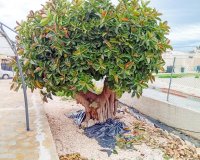 Herverkoop - Villa -
Torrevieja - La Siesta - El Salado - Torreta