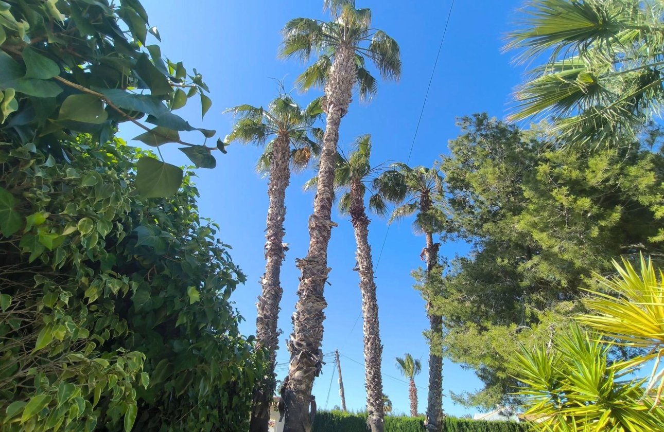 Herverkoop - Villa -
Torrevieja - La Siesta