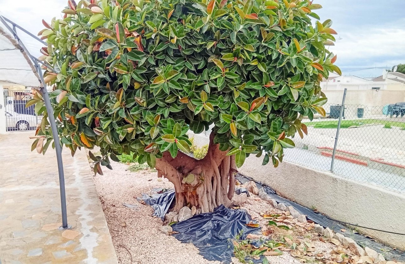 Herverkoop - Villa -
Torrevieja - La Siesta