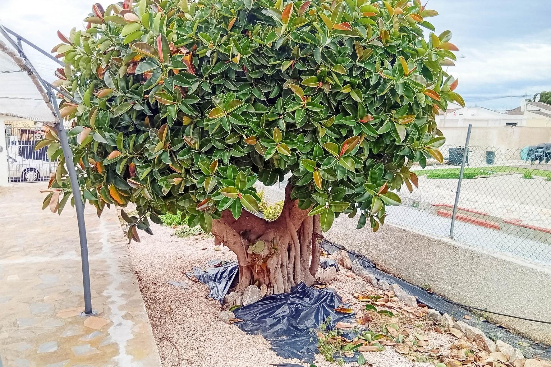 Herverkoop - Villa -
Torrevieja - La Siesta