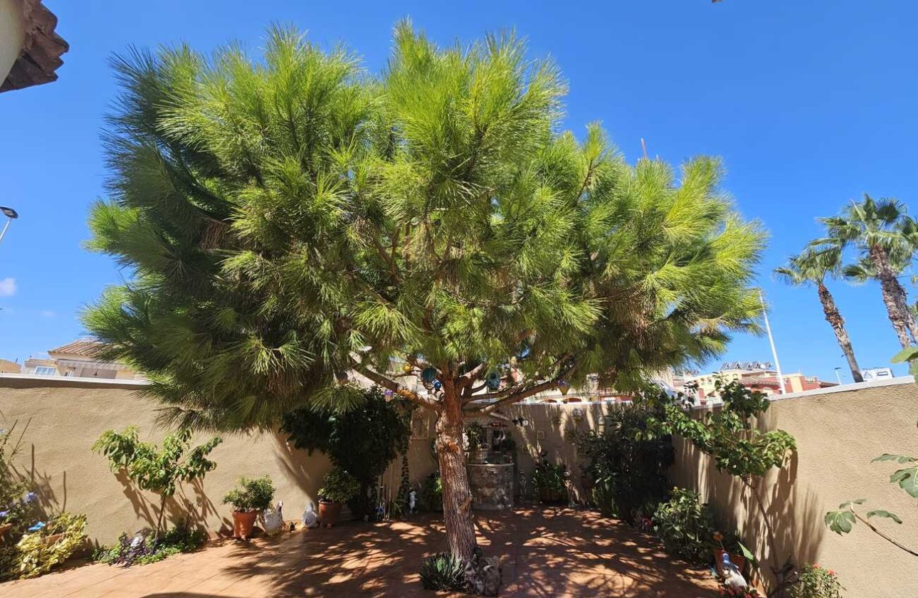 Herverkoop - Villa -
Torrevieja - Torre Del Moro