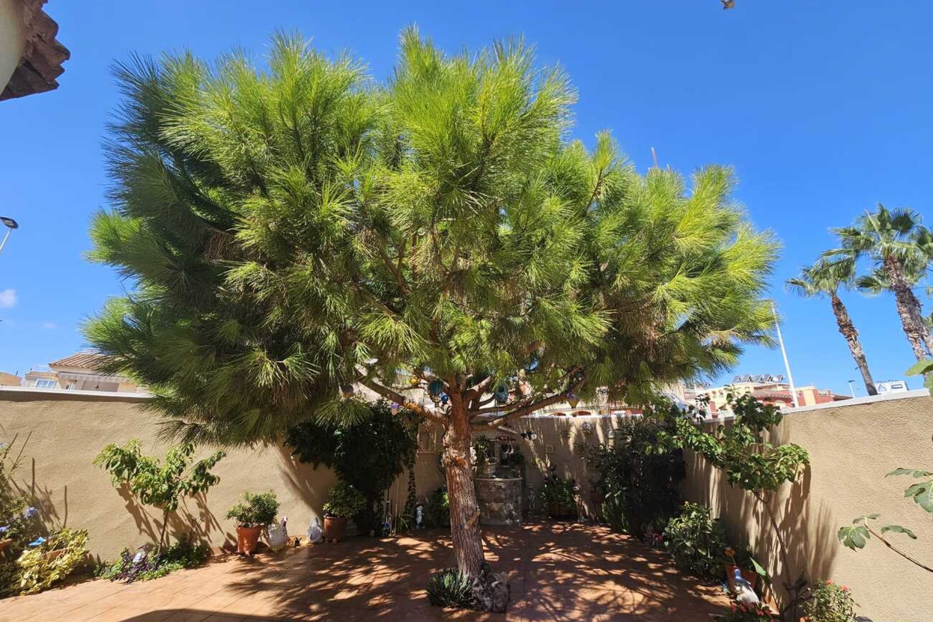 Herverkoop - Villa -
Torrevieja - Torre Del Moro