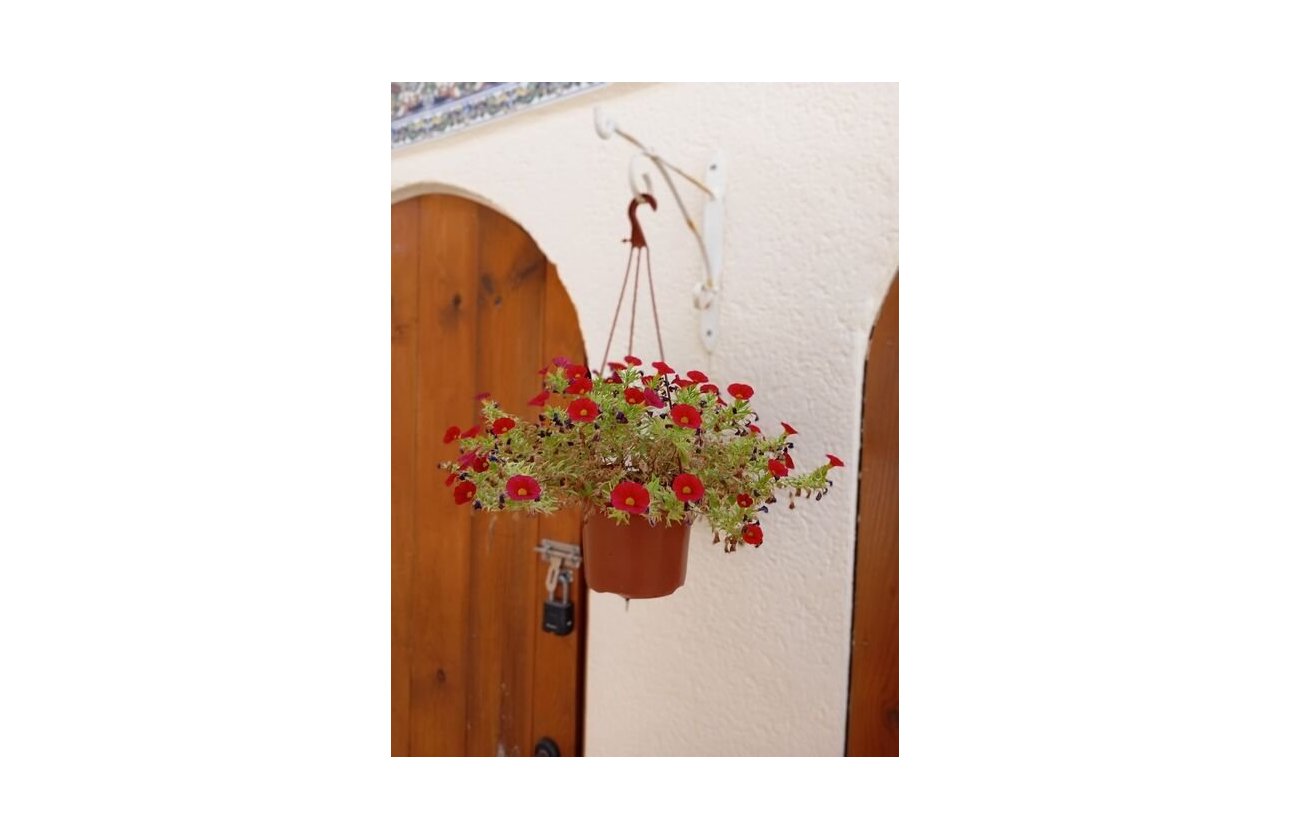 Herverkoop - Villa -
Villamartin - Costa Blanca