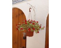 Herverkoop - Villa -
Villamartin - Costa Blanca