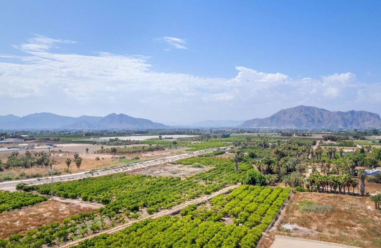 New Build - Apartment -
Jacarilla - pueblo