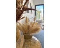 New Build - Bungalow -
San Fulgencio - Pueblo