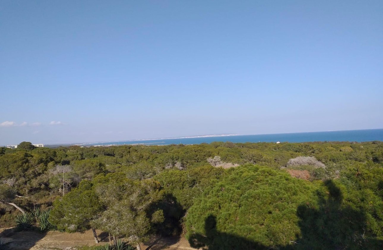 New Build - Ground floor apartment -
Guardamar del Segura - Pueblo