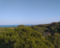 New Build - Ground floor apartment -
Guardamar del Segura - Pueblo