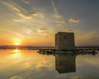 New Build - Ground floor apartment -
Santa Pola - Estacion de autobuses