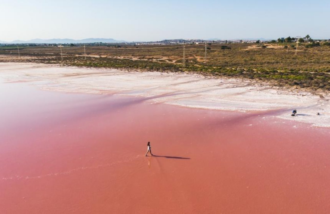 New Build - Ground floor apartment -
Torrevieja - Centro