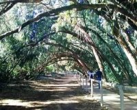 New Build - Ground Floor Bungalow -
Torrevieja - Altos del Sol