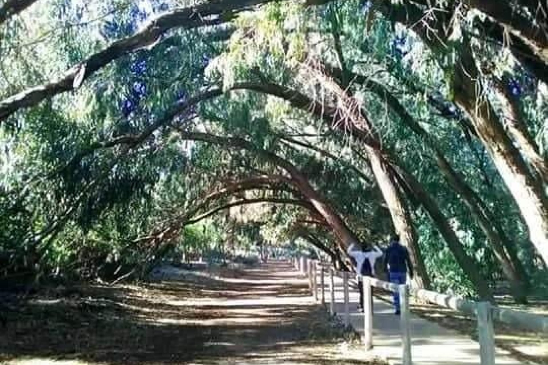 New Build - Ground Floor Bungalow -
Torrevieja - Altos del Sol