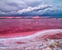 New Build - Ground Floor Bungalow -
Torrevieja - Altos del Sol