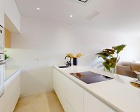 New Build - Penthouse -
Guardamar del Segura - El Raso