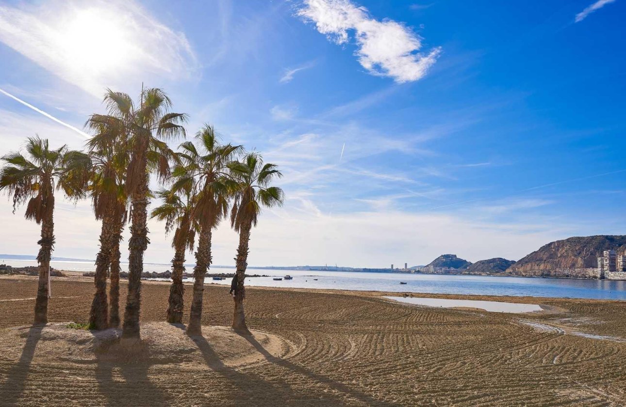 New Build - Semidetached -
Els Poblets - Partida Barranquets