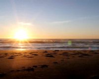 New Build - studio -
Torrevieja - Centro