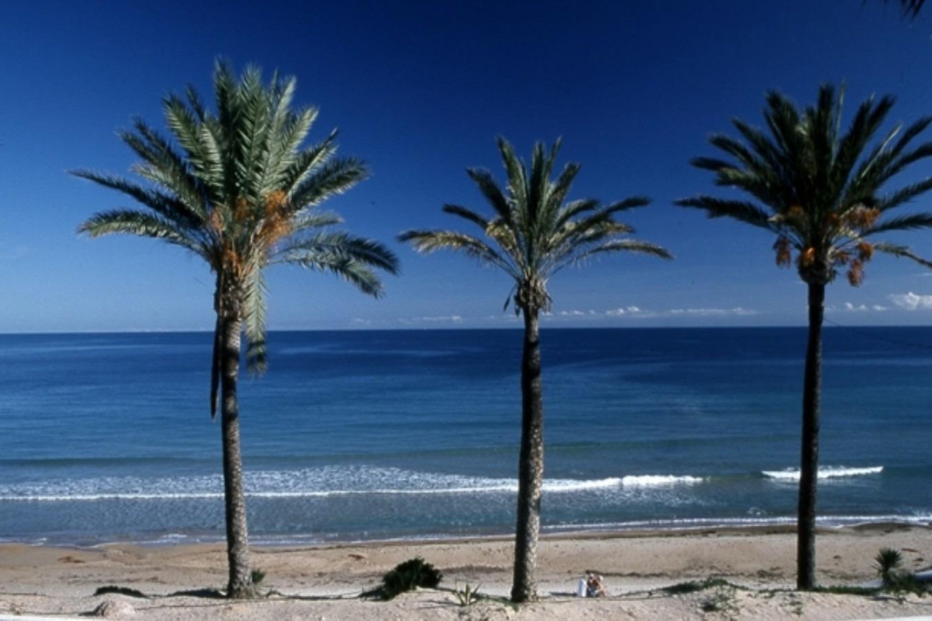 New Build - Top Floor Bungalow -
Pilar de la Horadada - Parque Ramon eugenio Escudero