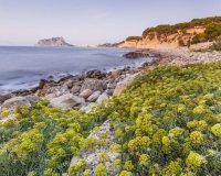 New Build - Villa -
Benissa - Cala Advocat