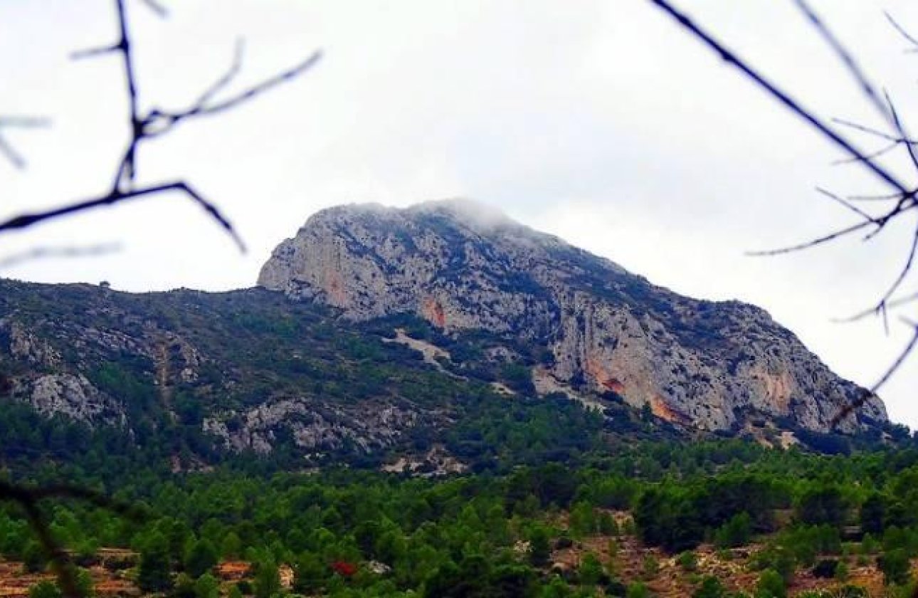 New Build - Villa -
La Romana - Batistes