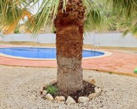 New Build - Villa -
La Romana - Villas de la Romana