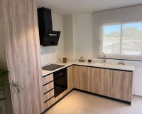 New Build - Villa -
Pilar de la Horadada - pueblo