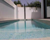 New Build - Villa -
Pilar de la Horadada - Torre De La Horadada