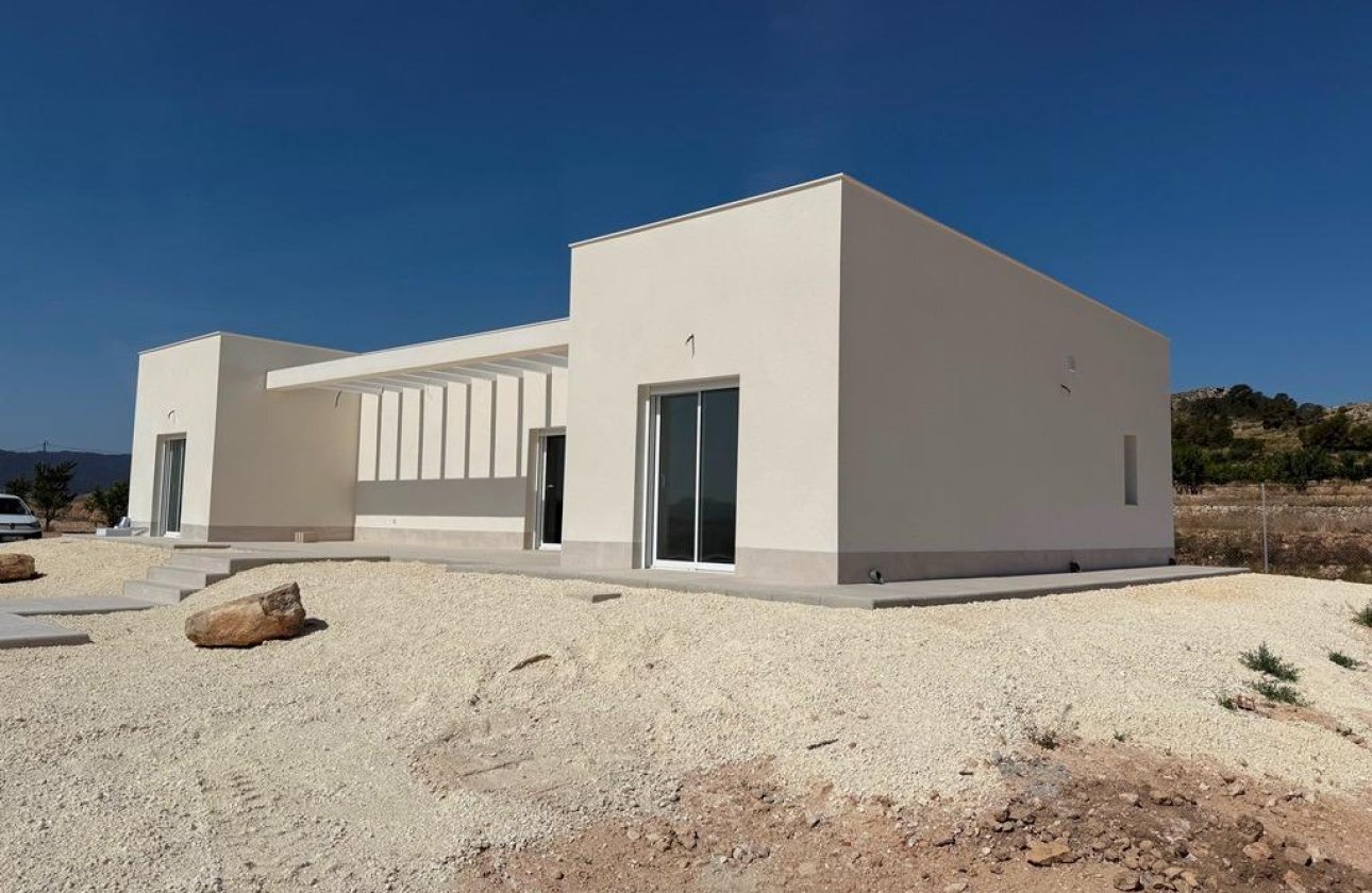 New Build - Villa -
Pinoso - Camino Del Prado