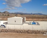 New Build - Villa -
Pinoso - Camino Del Prado