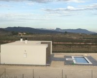 New Build - Villa -
Pinoso - Camino Del Prado