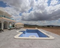 New Build - Villa -
Pinoso - Camino Del Prado