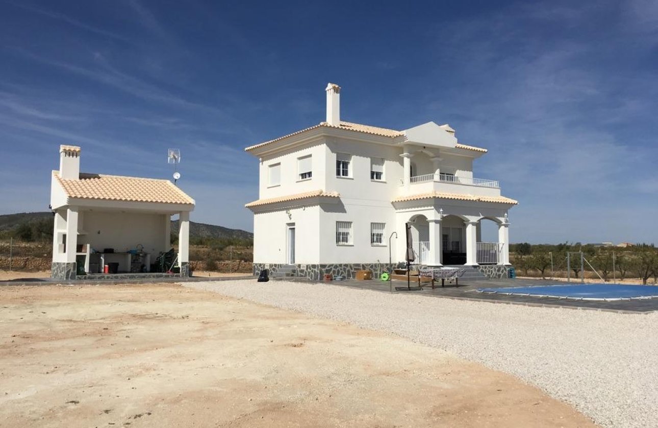 New Build - Villa -
Pinoso - Camino Del Prado