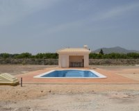 New Build - Villa -
Pinoso - Camino Del Prado