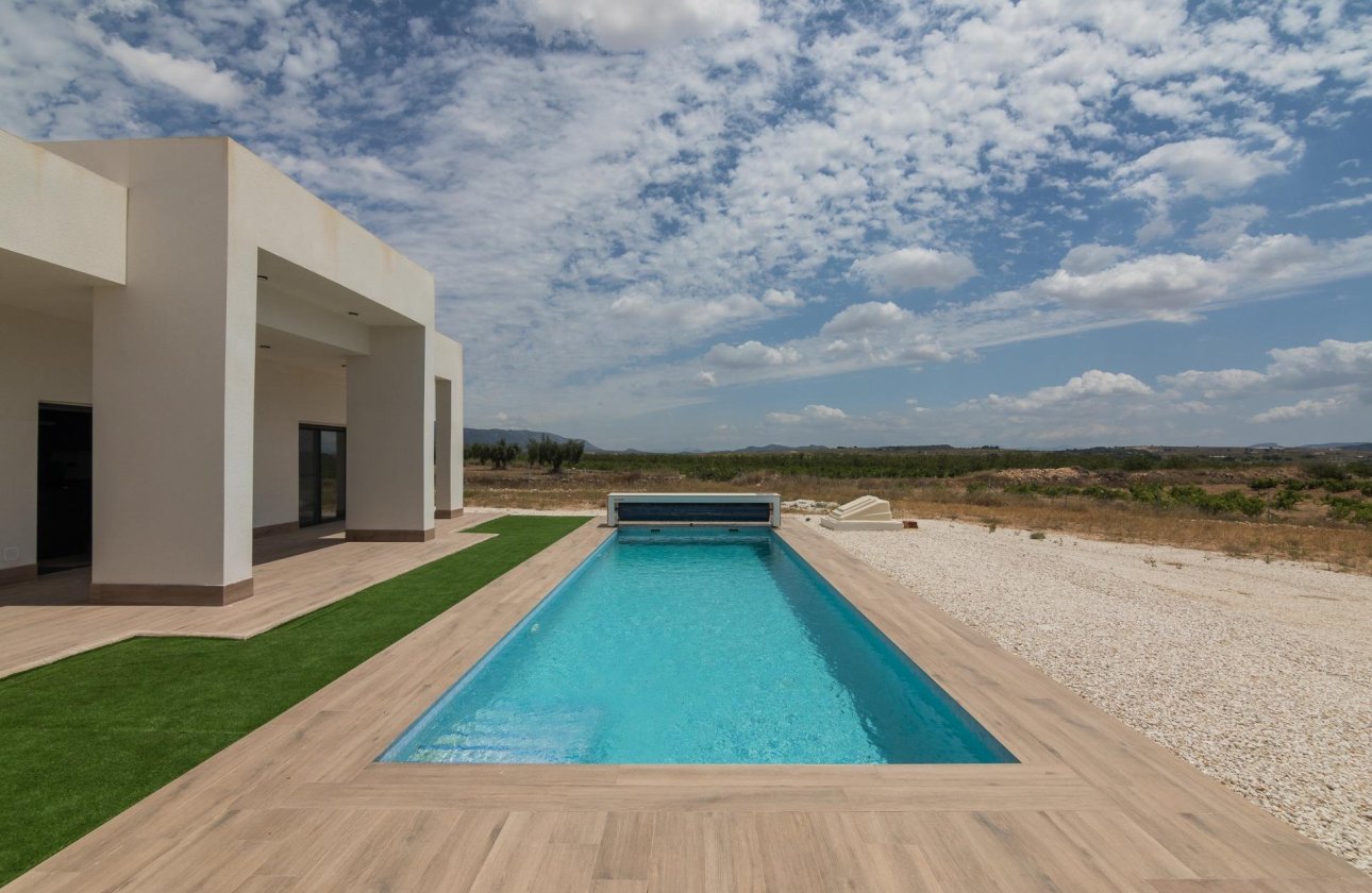 New Build - Villa -
Pinoso - Campo