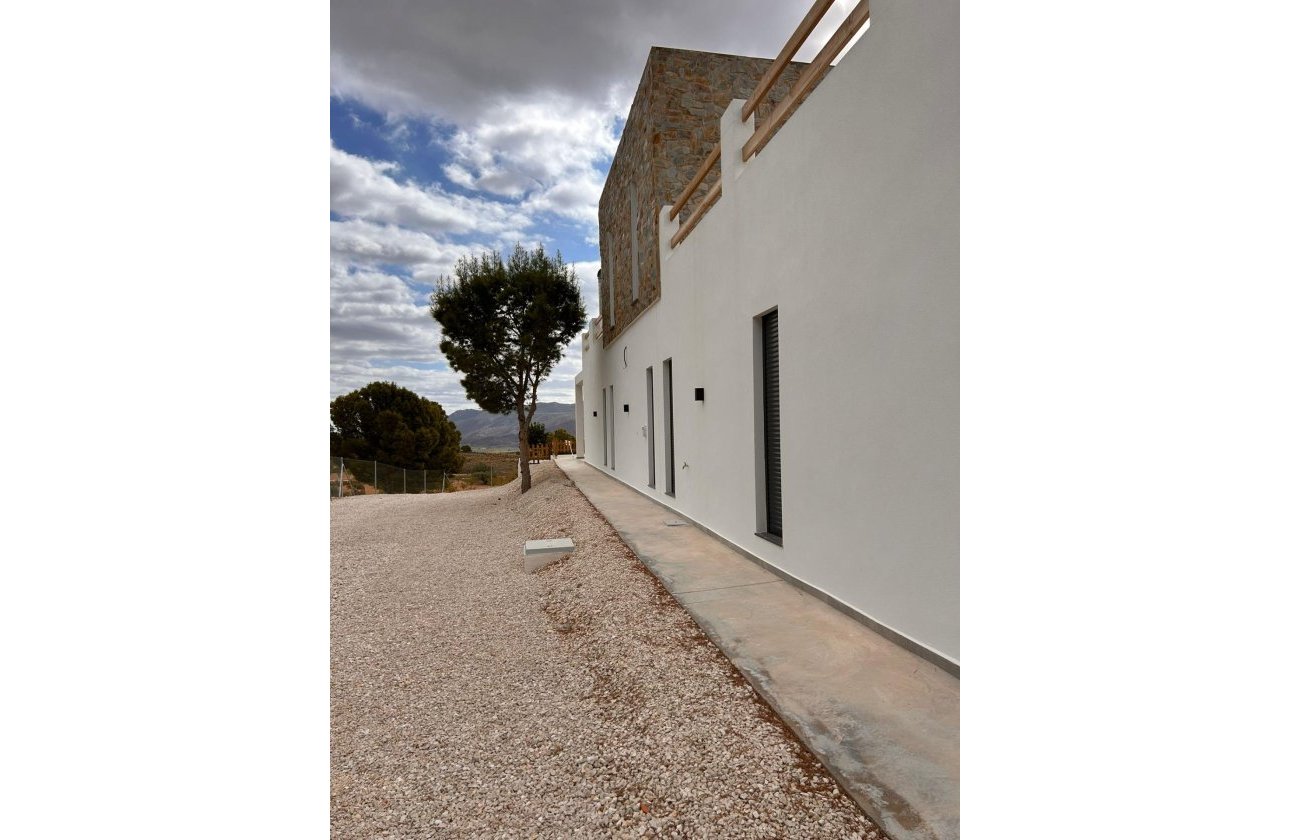 New Build - Villa -
Pinoso - Casas Pastor