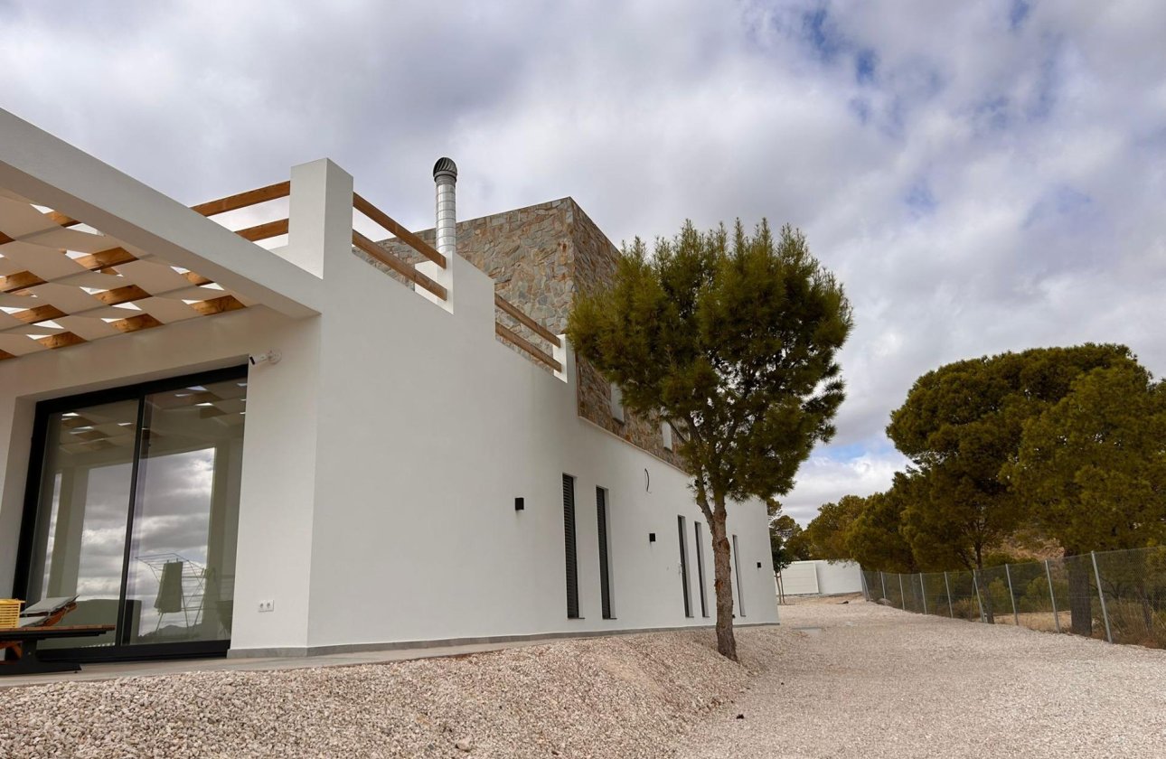 New Build - Villa -
Pinoso - Casas Pastor