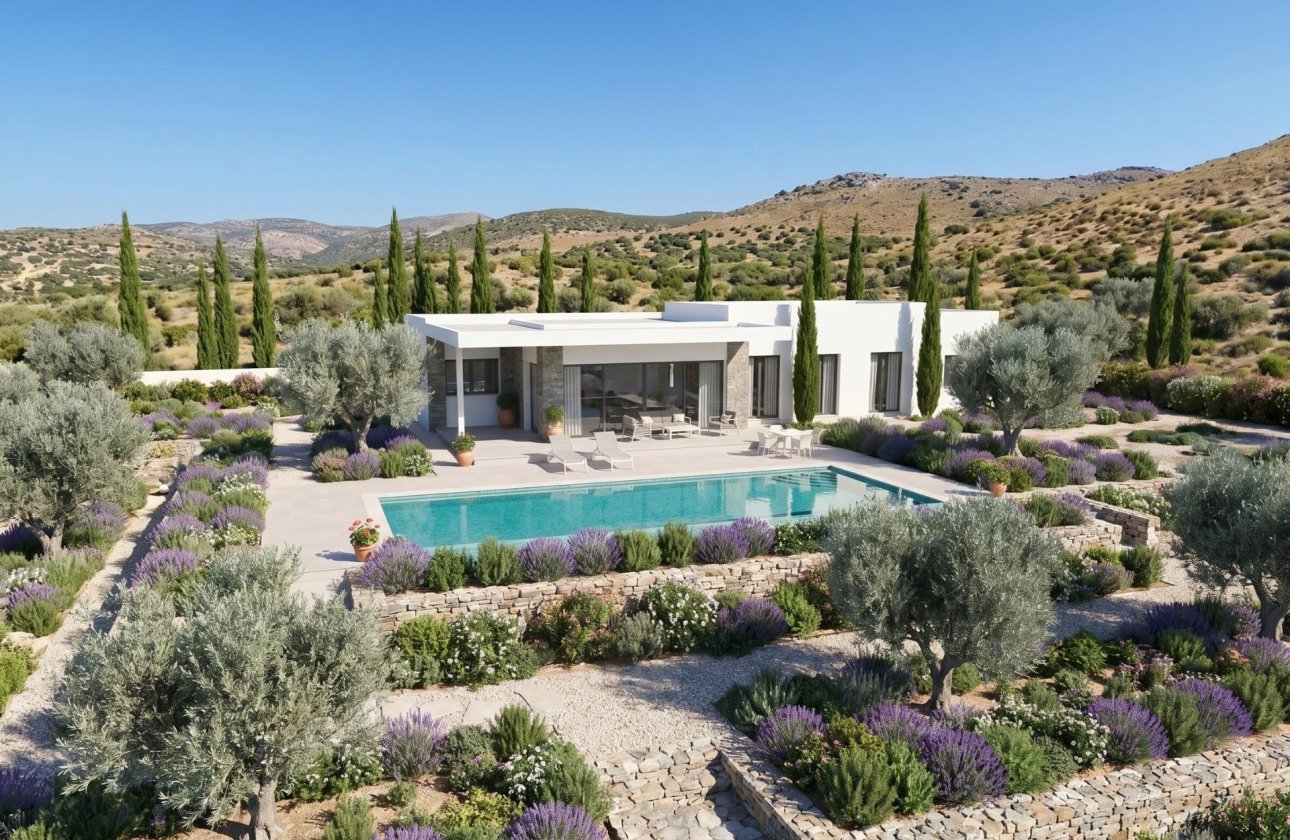 New Build - Villa -
Pinoso - Casas Pastor