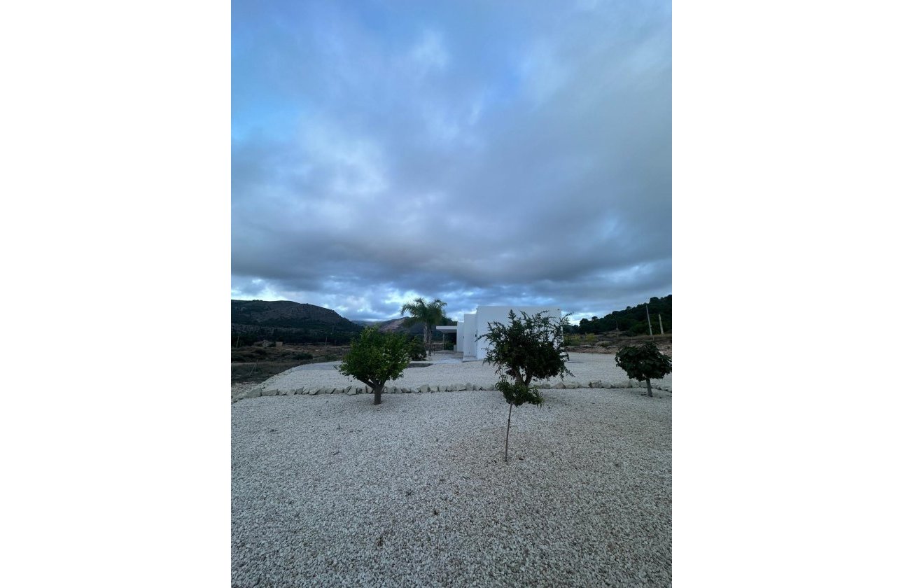 New Build - Villa -
Pinoso - Casas Pastor