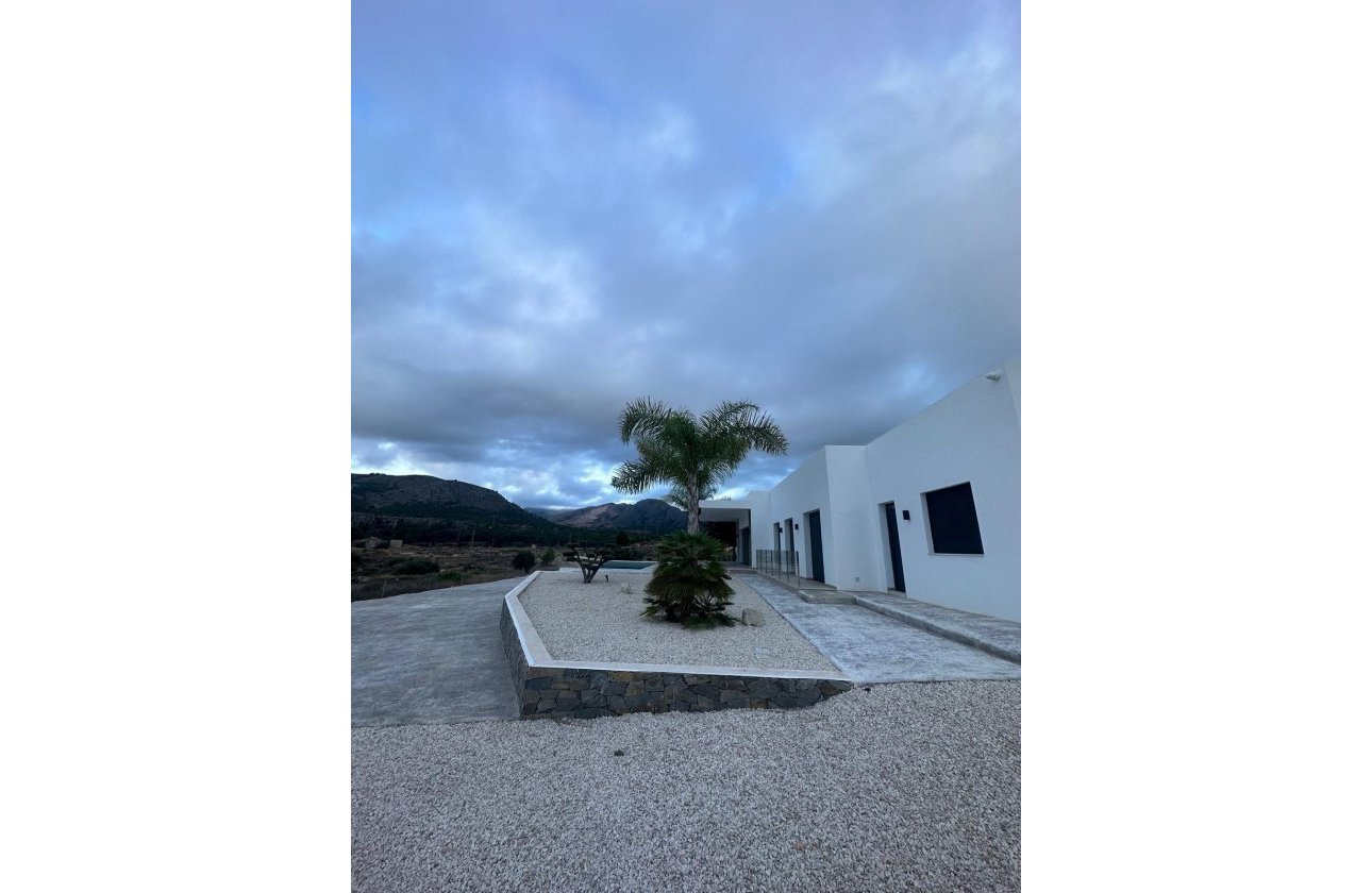 New Build - Villa -
Pinoso - Casas Pastor