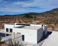 New Build - Villa -
Pinoso - Lel