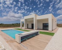 New Build - Villa -
Pinoso - Lel