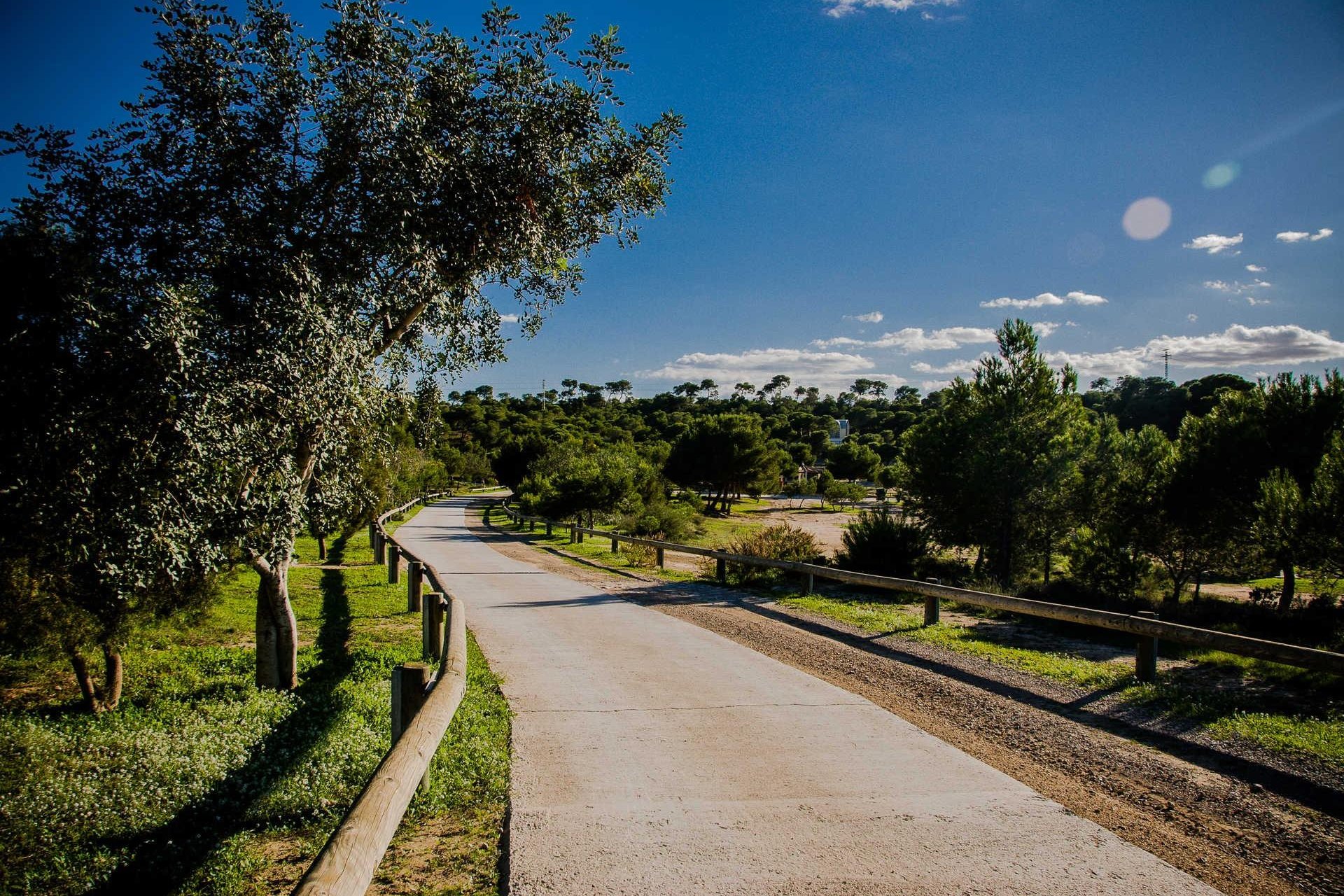 New Build - Villa -
Rojales - Doña Pepa