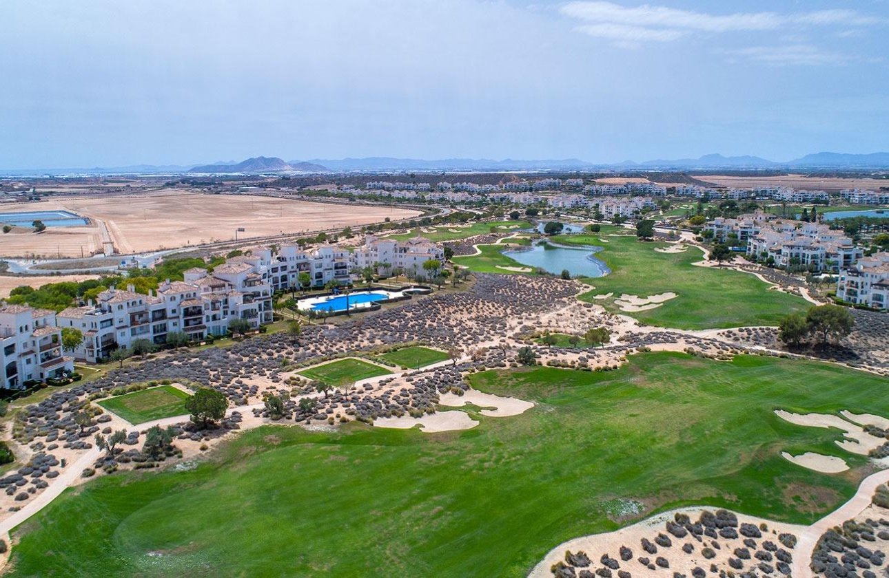 New Build - Villa -
Sucina