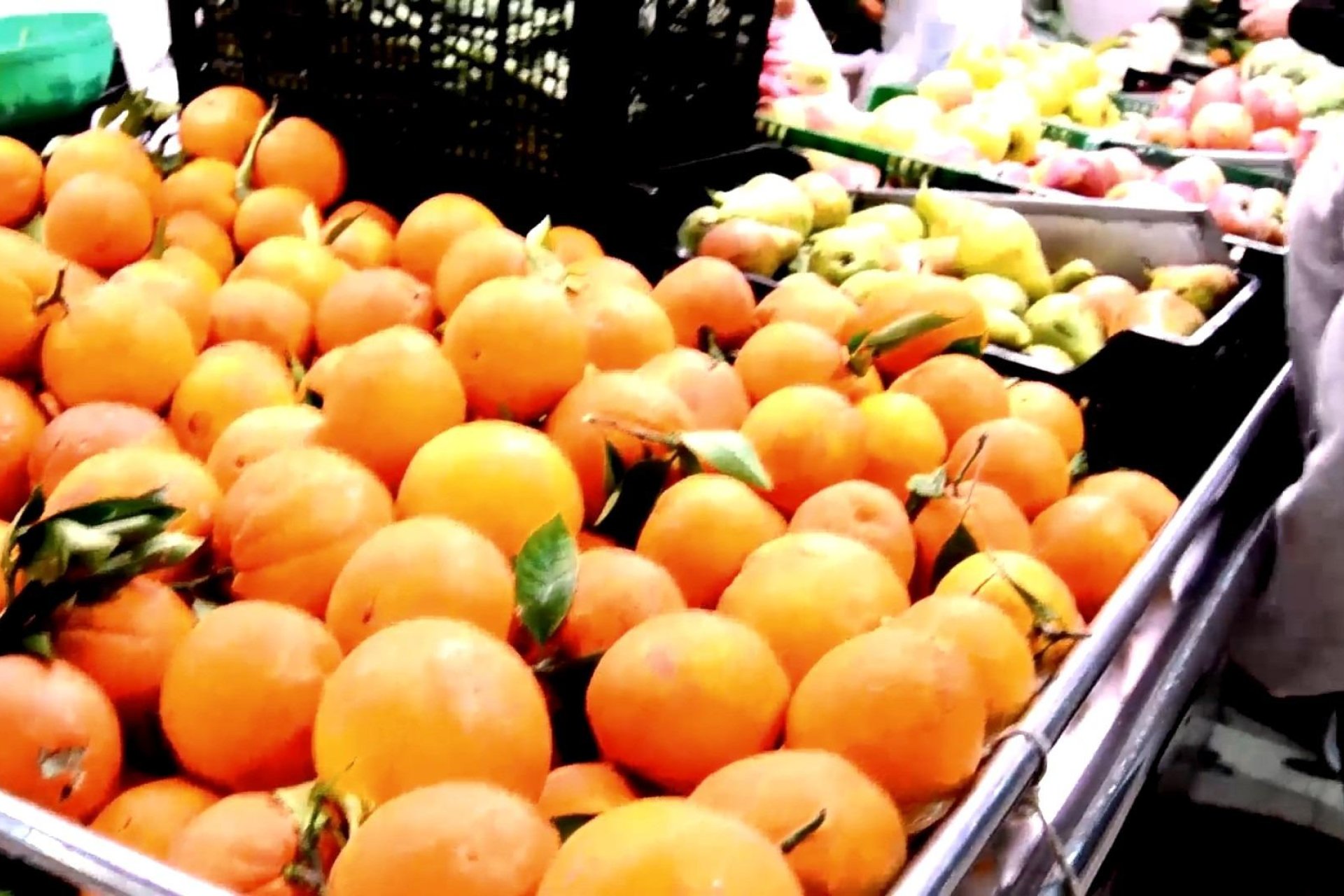 Nieuwbouw Woningen - Ground floor apartment -
Torrevieja - Centro