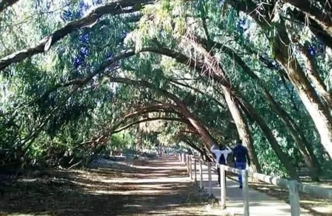 Nieuwbouw Woningen - Ground Floor Bungalow -
Torrevieja - Altos del Sol